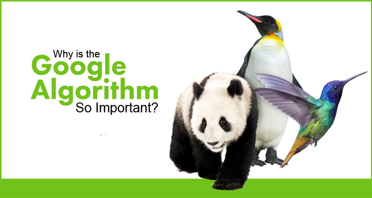 Google Algorithm Updates and It’s Importance [MUST READ]